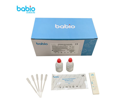 Helicobacter pylori (H.pylori) IgG/IgM Test Kit Testprocedure