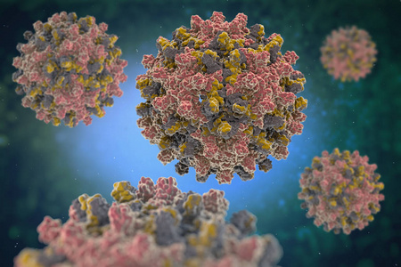 HEV IGM Rapid Test: Leading the Way in Hepatitis e Diagnosis