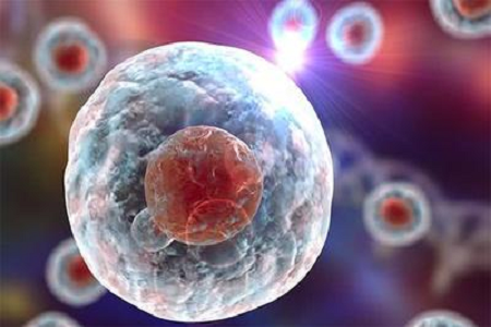 Babio lancerer GIEMSA-pletter i høj kvalitet til avanceret cytogenetisk og hæmatologisk diagnostik
