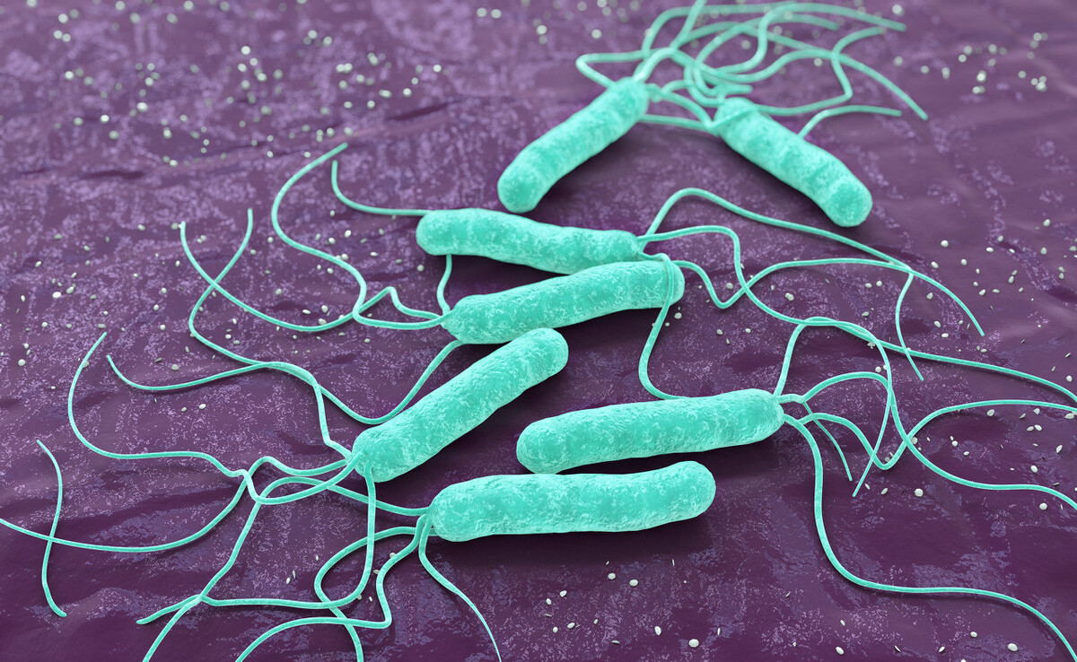 Babio lancerer filariasis IgG/IgM Rapid Test Kit til understøttelse
