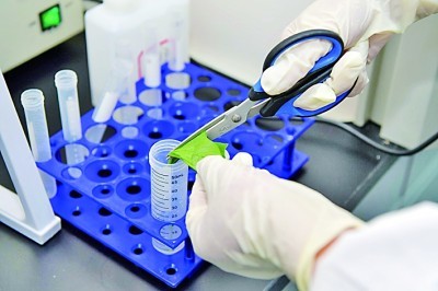 Pålidelig bakteriel identifikation gjort enkel med Babios Gram Stain Kit