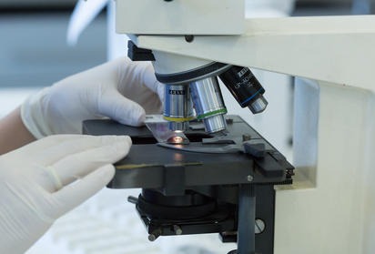 Accelerere fedtanalyse med Babios JC-Sxt-6A Automated Soxhlet Extraction System August 2025 | Babio Newsroom