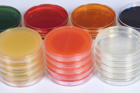 Sapouraud Dextrose Agar (SDA) af høj kvalitet af Babio