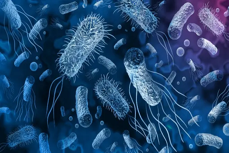 Babio lancerer Vibrio Cholerae Rapid Antigen Detection Kit