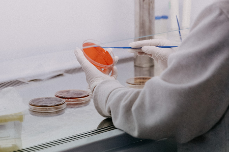 Babio introducerer Potato Dextrose Agar (USP) til pålidelig skimmel- og gærtest