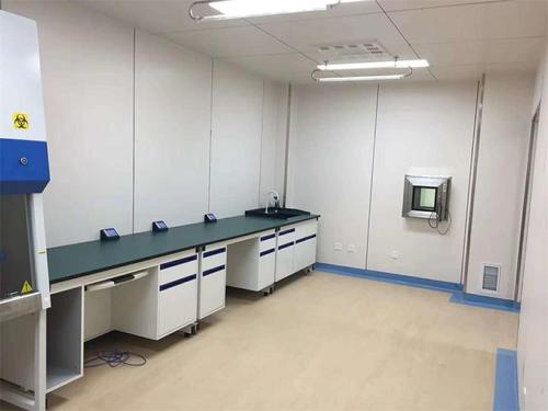 Blodkulturflaske: Fremme påvisning af patogener med Babio