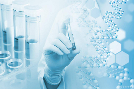 Agar medium B (kasein sojabønnefordøjelsesagar) – et pålideligt valg til mikrobiel kultur