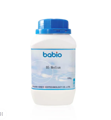 B5 medium